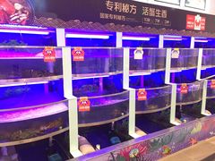 水产区-七欣天(浦东羽山乐坊店)