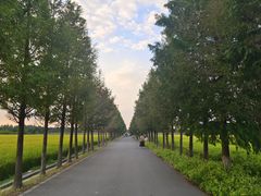 -嘉北郊野公园