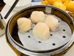 -点点心点心专门店(湾仔店)