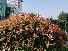 -菲特游泳健身(洸河店)