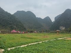 -靖西鹅泉风景区