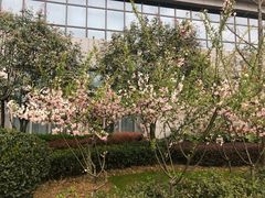 -湖北工业大学-图书馆