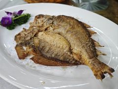 -渔鸽皇酒楼(鸿大广场店)