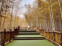 -陶祖圣境风景区