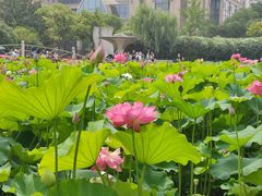 -黄兴公园