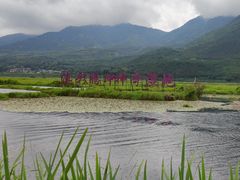 -腾冲北海湿地