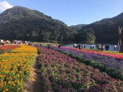-广州市石门国家森林公园