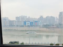 -李子坝梁山鸡(李子坝大鸡哥店)