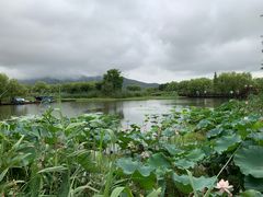 -长兴太湖图影湿地文化园