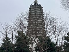 -舍利塔滩地公园-无垢净光舍利塔