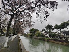 -西园戒幢律寺