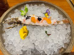 -月龍吟(朝龙汇店)