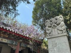 -韩家民俗村
