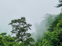 -井冈山风景名胜区