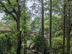 -莫干山风景区