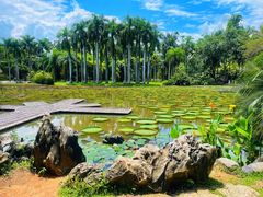 -中国科学院西双版纳热带植物园