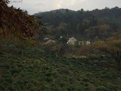 -石台牯牛降景区