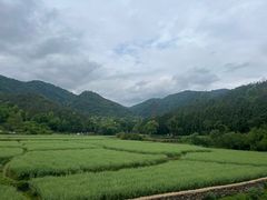 -印象天台·非遗文化美食