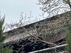 -钱王祠