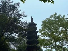 -玉苍山国家森林公园