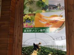 -富田农场