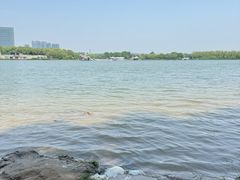 -大兴滨河森林公园