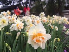 -厦门园林博览苑