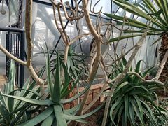 -北京植物园-展览温室