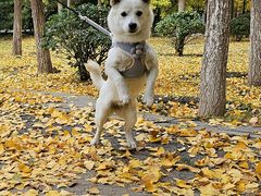 -赛纳河休闲商务会馆(天宁寺店)