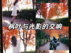 -阳澄湖半岛旅游度假区