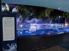 -成都浩海立方海洋公园
