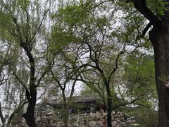 -恭王府博物馆