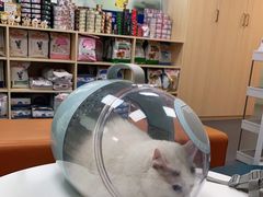 -申普宠物医院·心脏介入·心血管微创(总院)
