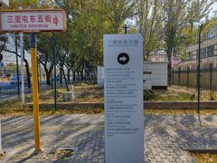 -三里屯东五街银杏大道