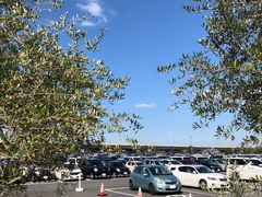 -三井奥特莱斯购物城(爵士之梦长岛店)
