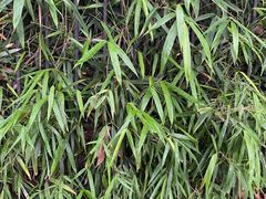 -徐家汇源景区-衡山公园