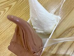 -野人先生Gelato(上海长宁龙之梦店)