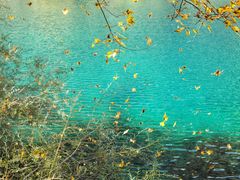 -叠溪松坪沟景区