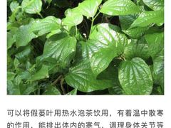 -华姐鸡粉(教育路店)