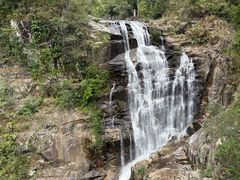 -海南热带雨林国家公园吊罗山景区