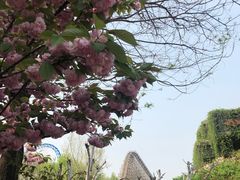 -济南方特东方神画