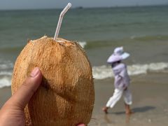 -东郊椰林