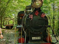 -五营红松林海景区