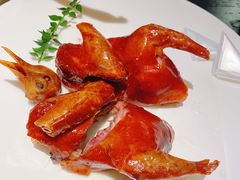 -甄御•海鲜新青岛菜(麦岛店)