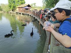 -溱湖国家湿地公园