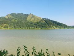 -羚羊峡古栈道森林公园