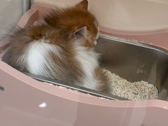 -煎饼正传(万象城店)