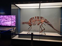 -湖南省地质博物馆