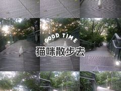 -佛山华盖山公园