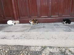-西园戒幢律寺